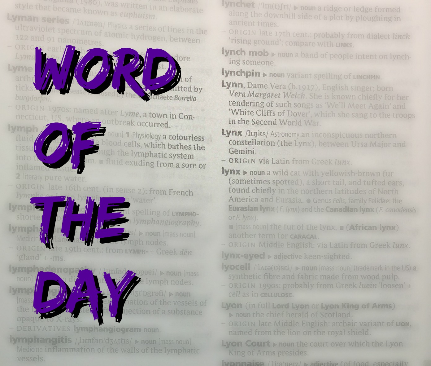 6 Words About Words (or Introducing the New Word of the Day Post)